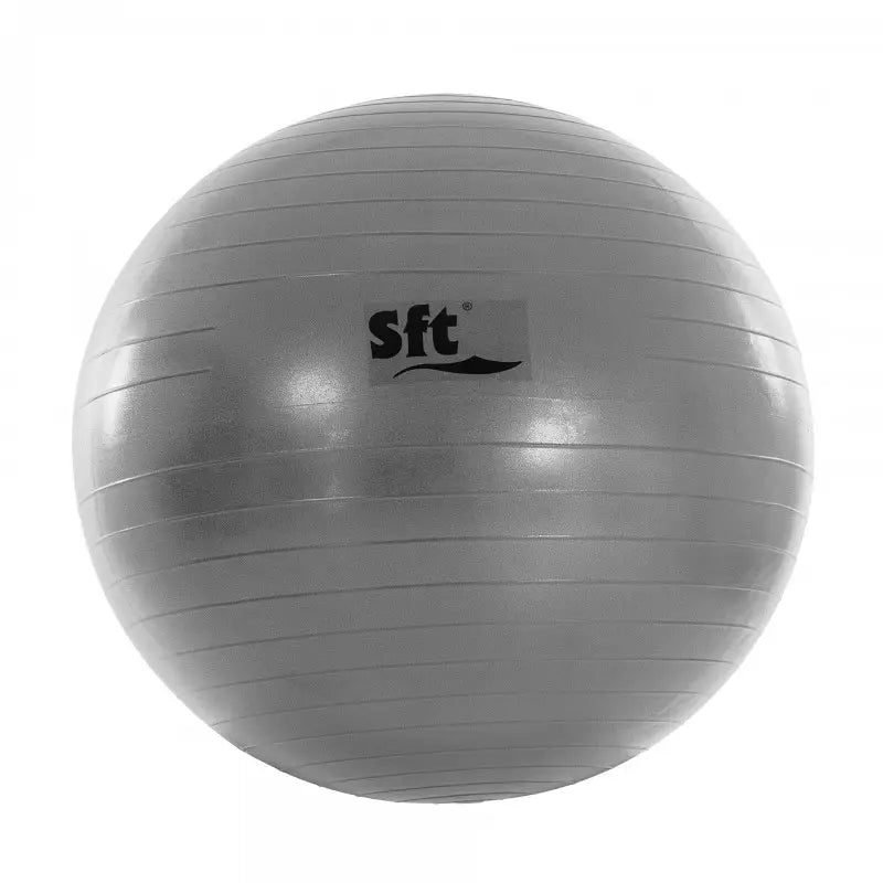 BALLON GÉANT SOFTEE FLEXI