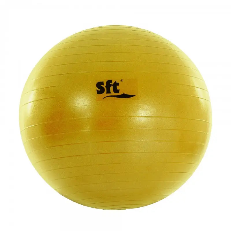 BALLON GÉANT SOFTEE FLEXI