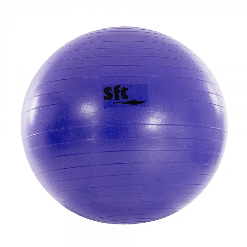 BALLON GÉANT SOFTEE FLEXI